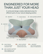 CERVA Contour™ Pillow